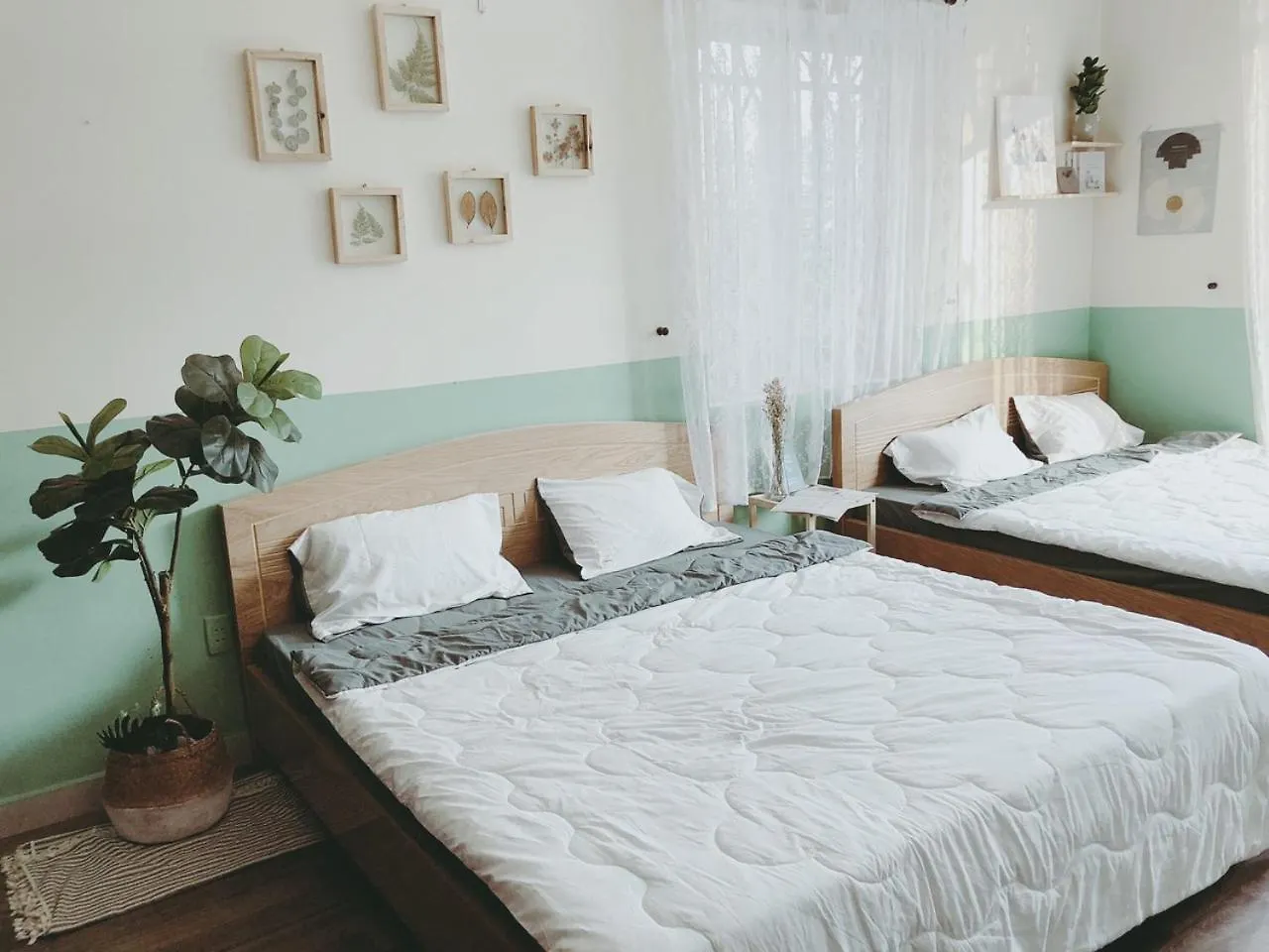 Palm Villa 8 - Luxury In Vungtau 4Bedrooms & Pool Vung Tau Vietnam