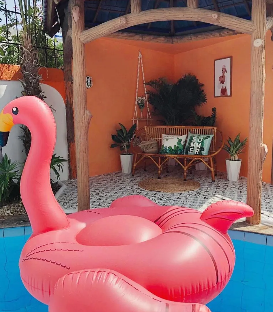 Palm Villa 8 - Luxury In Vungtau 4Bedrooms & Pool Vũng Tàu 0*,